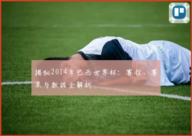 揭秘2014年巴西世界杯：赛程、赛果与数据全解析