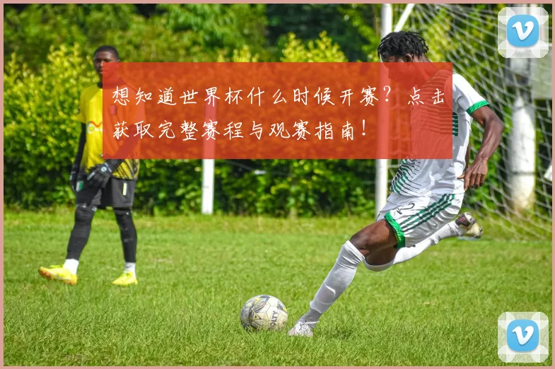 想知道世界杯什么时候开赛？点击获取完整赛程与观赛指南！