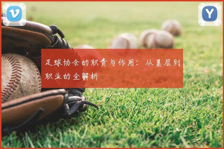 足球协会的职责与作用：从基层到职业的全解析