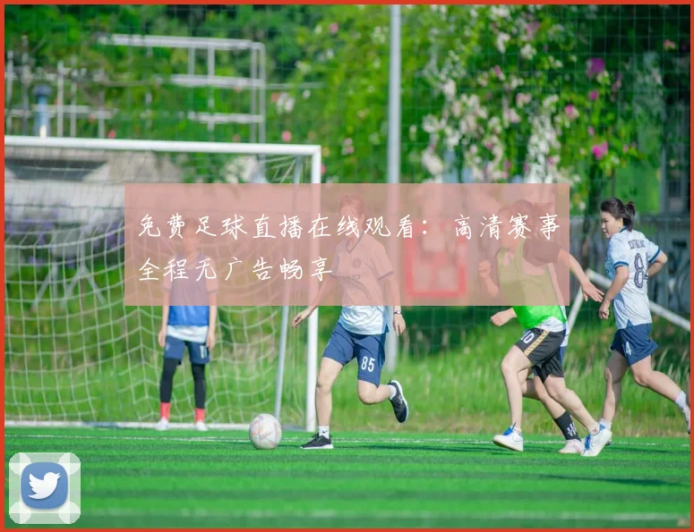 免费足球直播在线观看：高清赛事全程无广告畅享