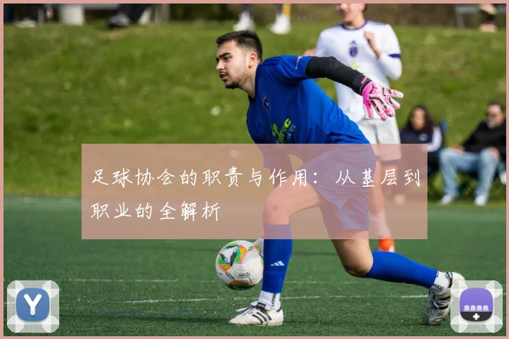 足球协会的职责与作用：从基层到职业的全解析