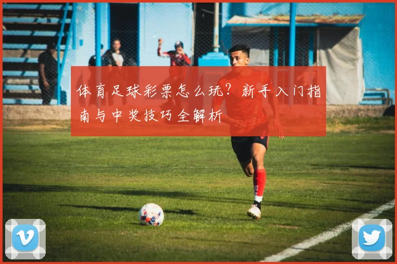 体育足球彩票怎么玩?新手入门指南与中奖技巧全解析